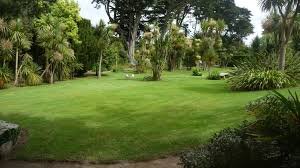 immagine del sogno dell'orto